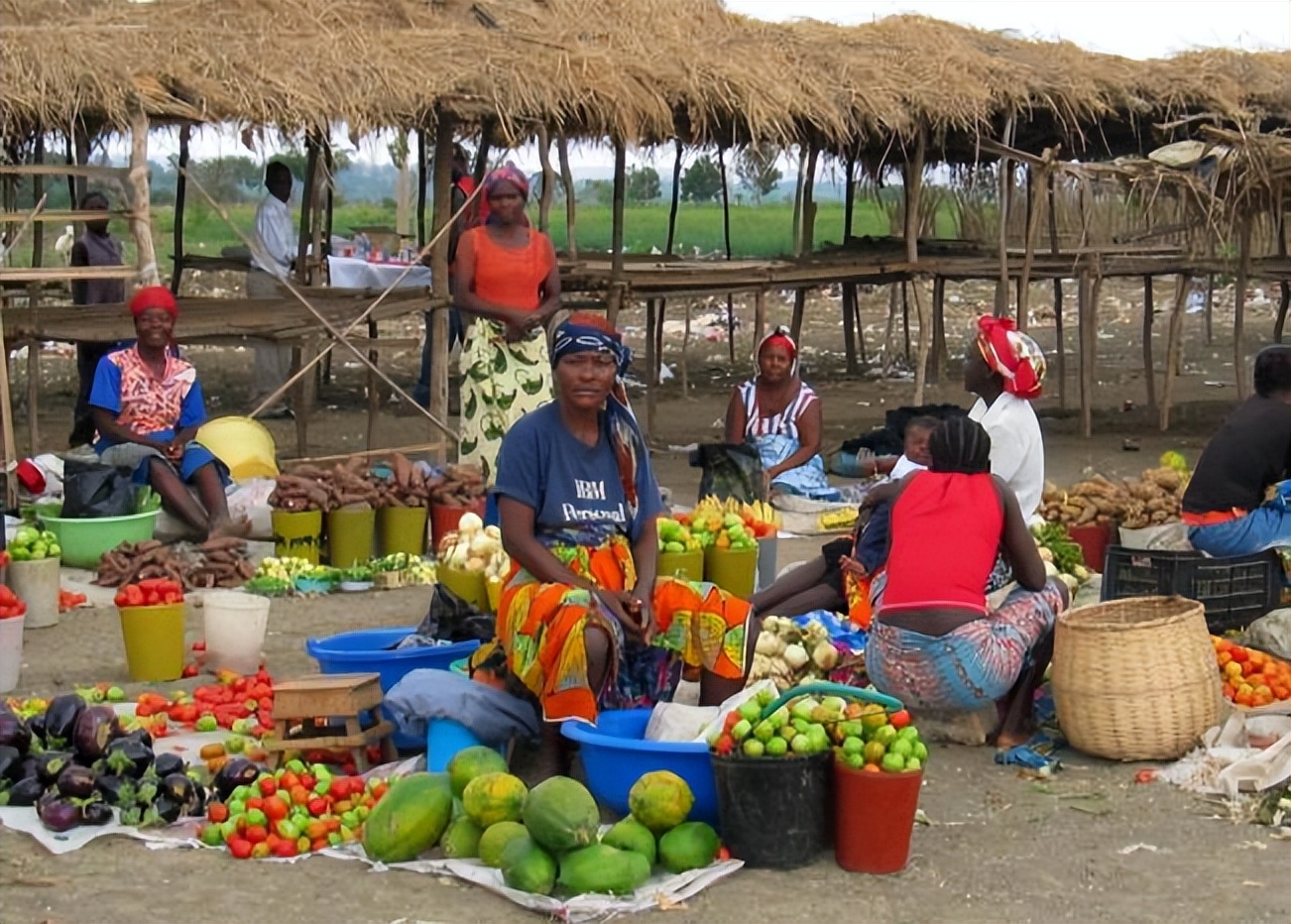 中国安哥拉蔬菜 (安哥拉的中国人种菜)