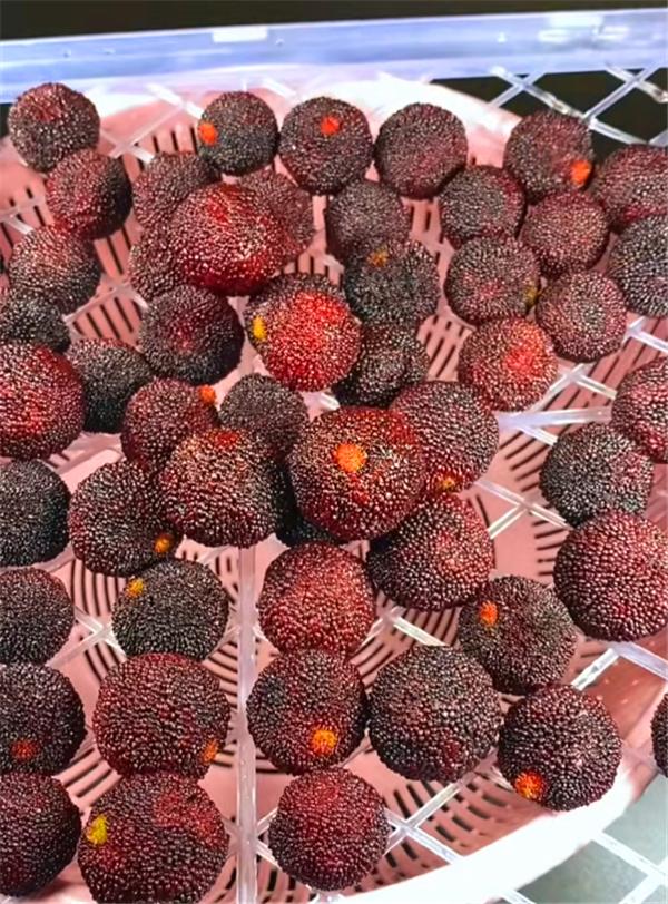 洗杨梅要放小苏打吗,杨梅有虫子吗怎么洗才洗干净