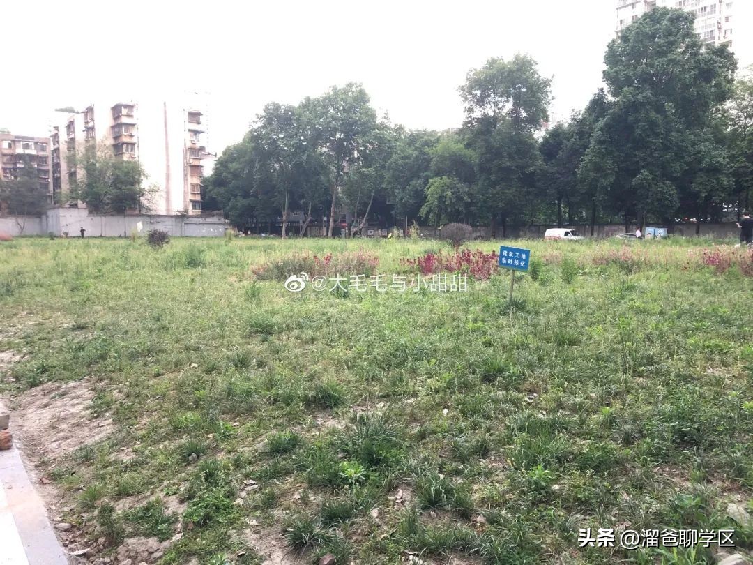 一校三区→一校五区？从不设分校的“金花学校”要爆发？