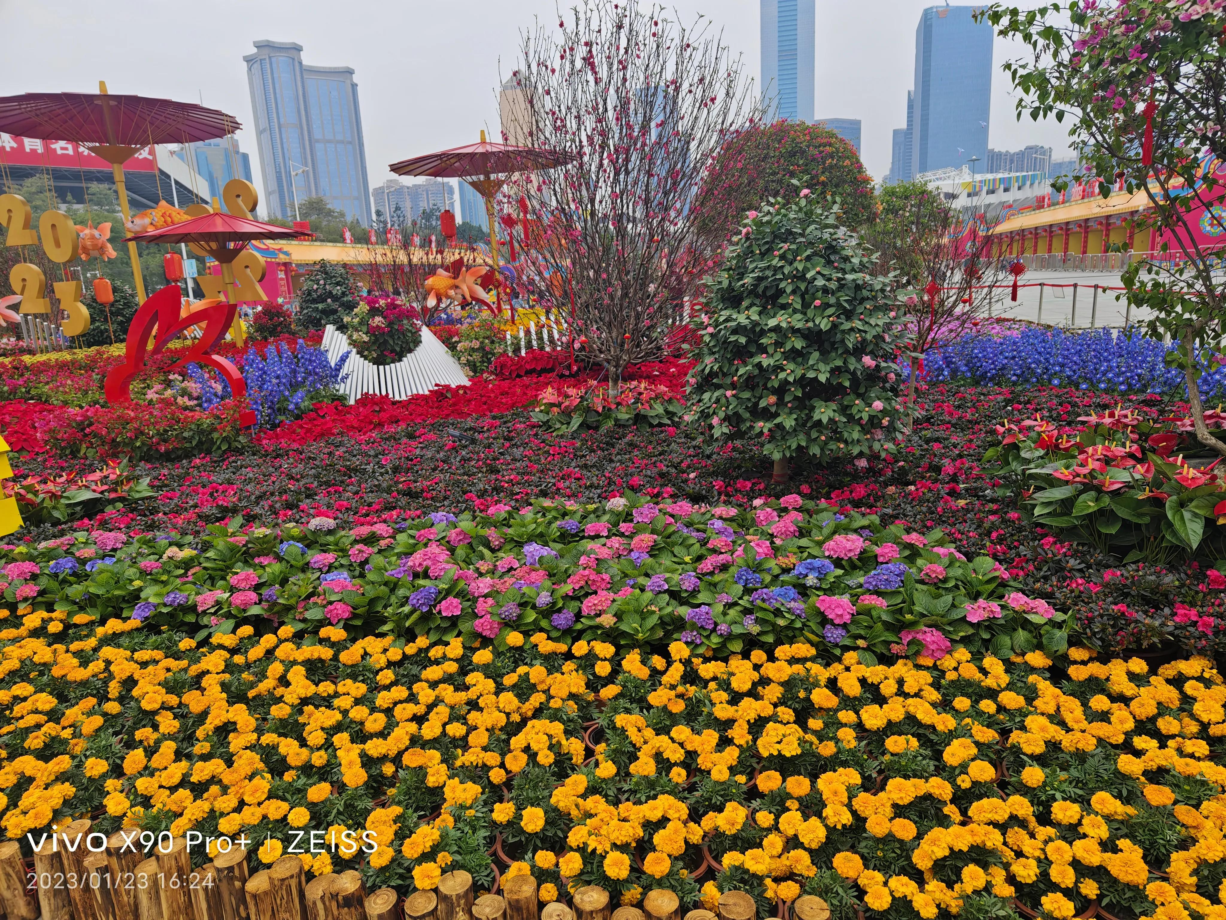 网络流行语汇总,目前最热的网络流行语