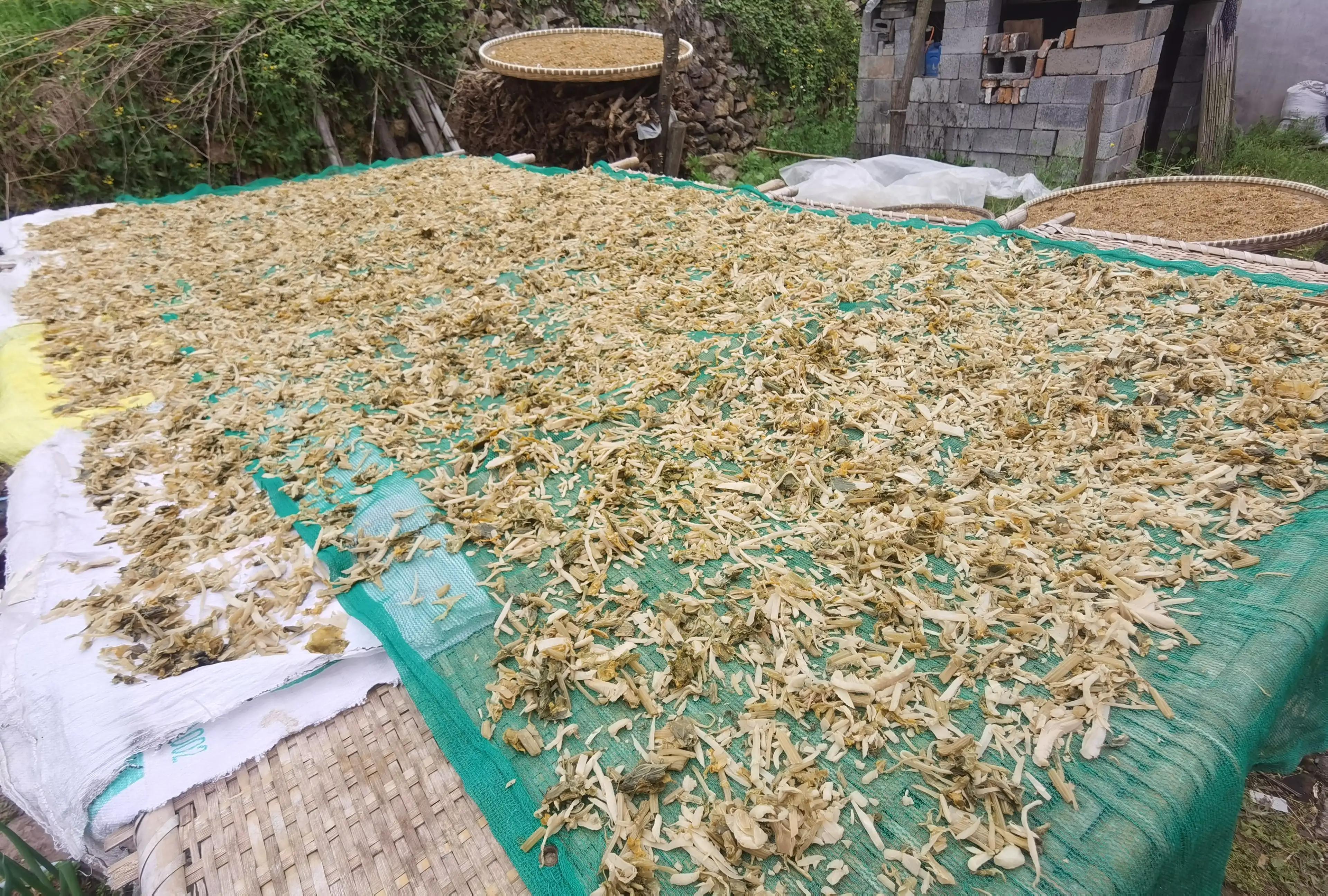 绍兴特产笋丝梅干菜的做法,绍兴特产笋丝梅干菜自产自销