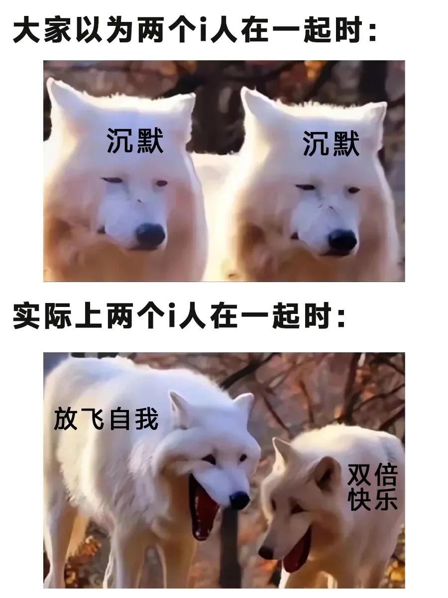 i人和e人区分不明显,i人和e人的区别对比图