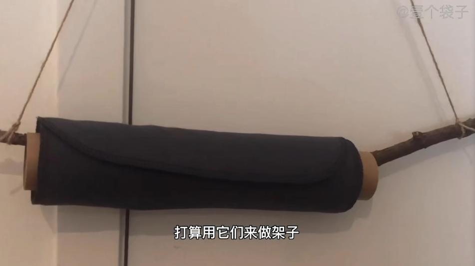 苏一格抖音,苏一格抖音号