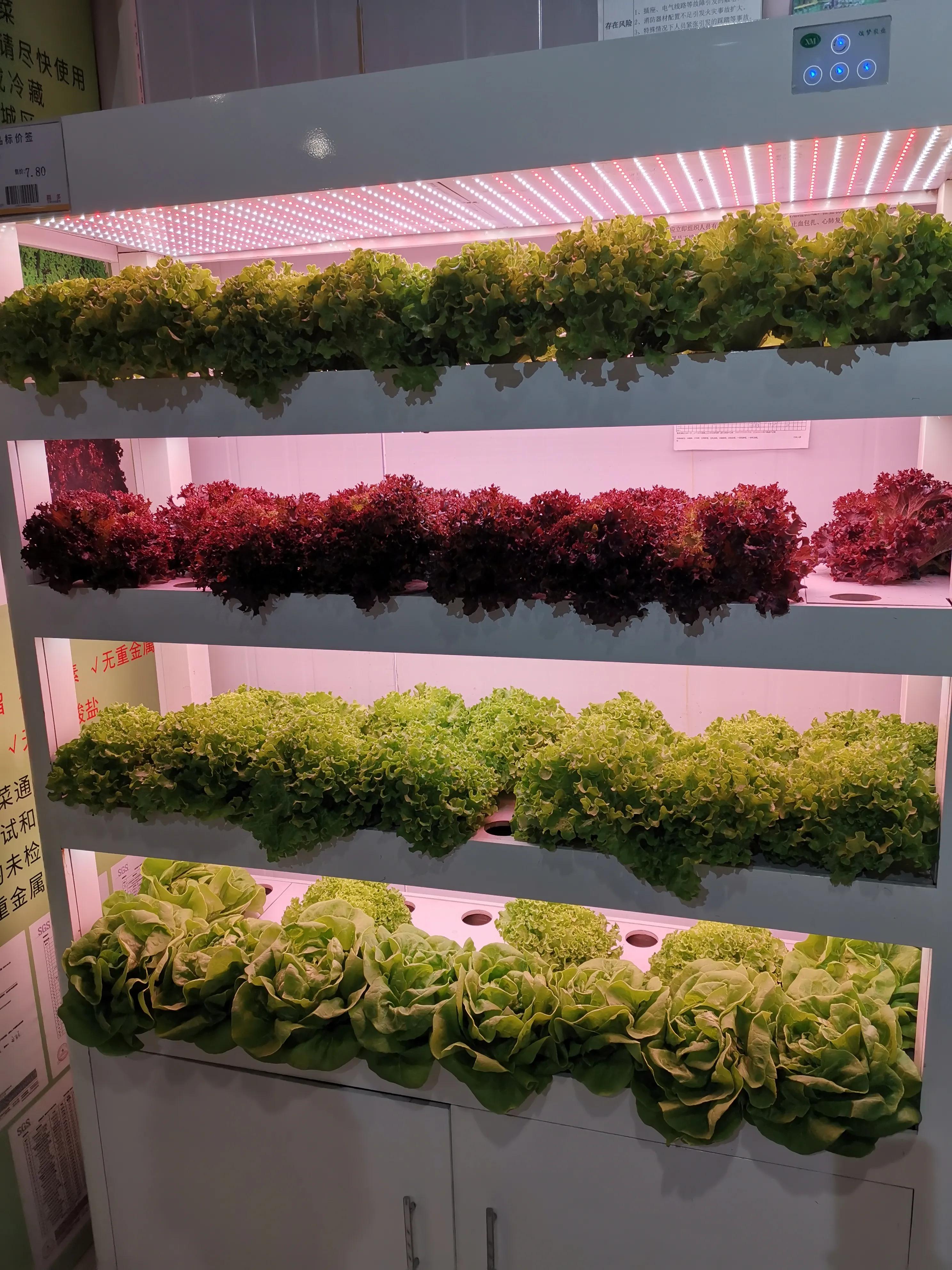 石家庄山姆超市 (石家庄跟山姆会员一样的超市)