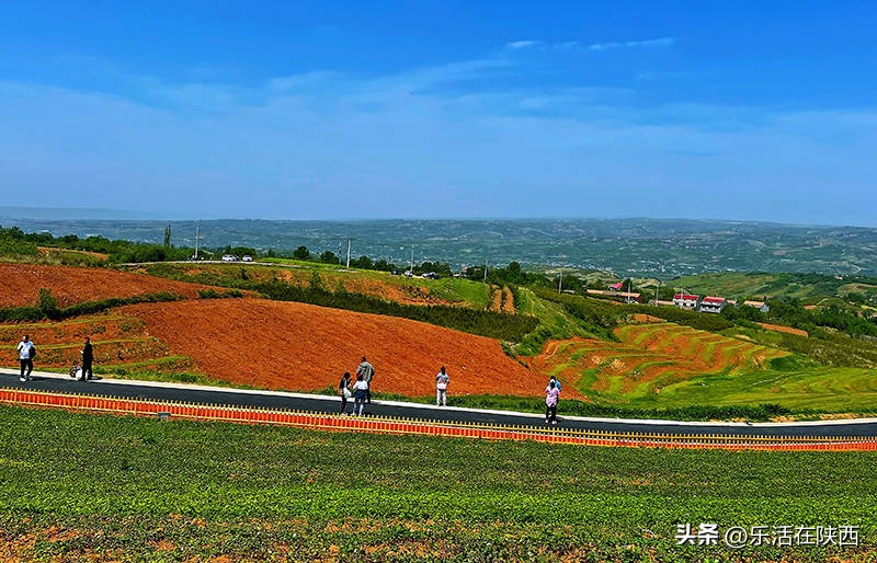 蓝田荞麦花海和高山草甸,西安荞麦花海旅游