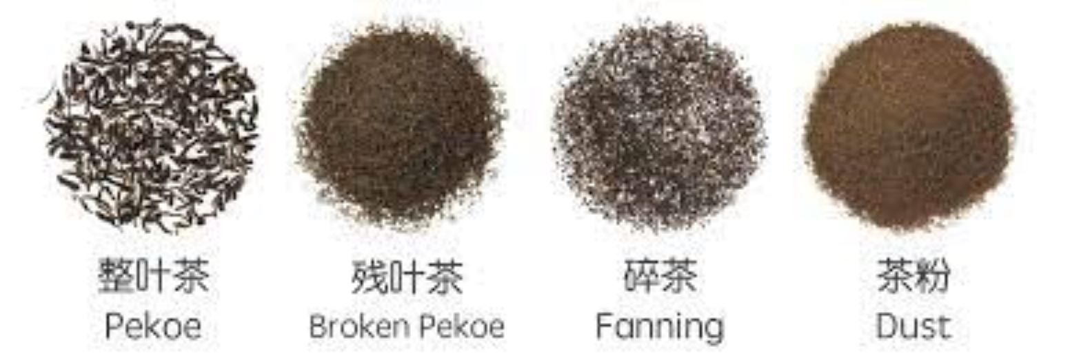 茶语者视频,茶语者