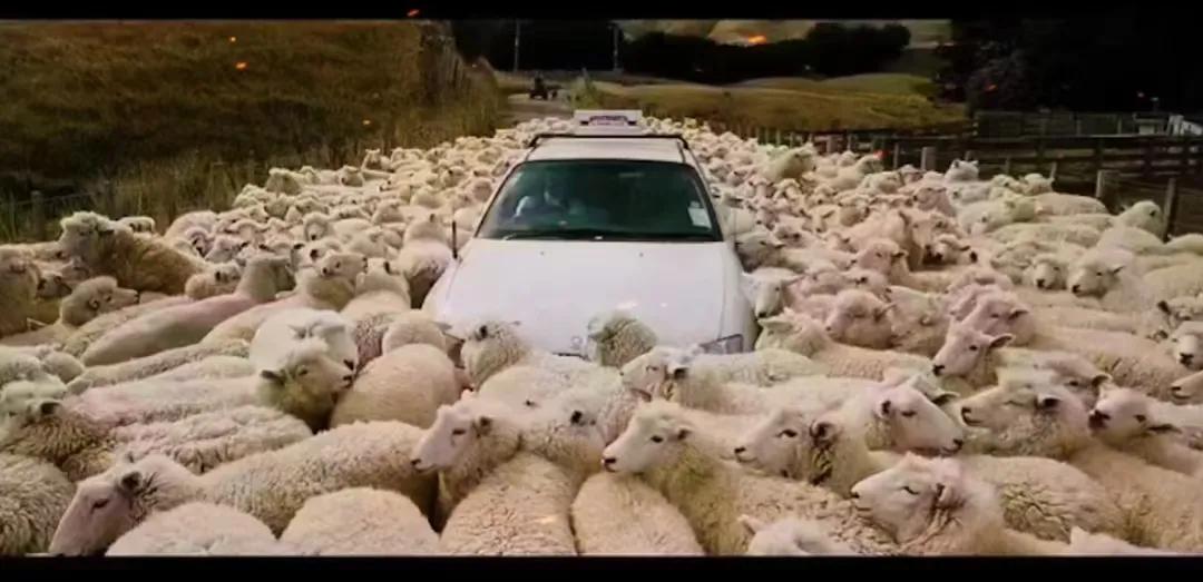 疫情放开后资金会去哪了,疫情期间市场出现的问题