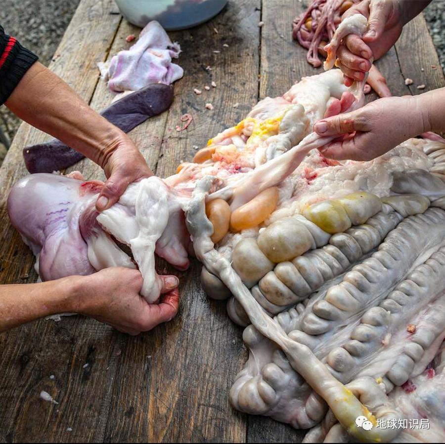 为啥有人喜欢吃没洗干净的猪大肠,猪大肠为什么不洗干净