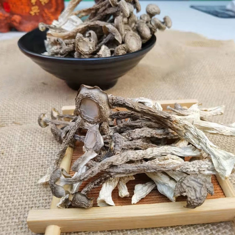 小萌食记｜长得很可爱的鹿茸菌，是无死角的美食