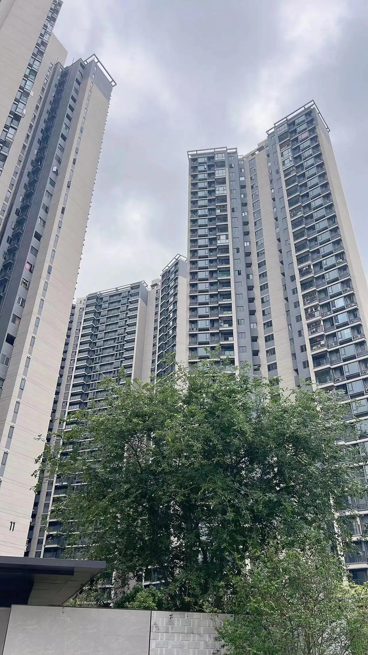 广州，深圳出大事了，震惊整个广东省，原价15000，现6800一平！