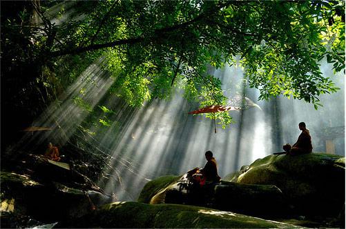 禅诗精选最经典的禅诗1000首,经典禅诗100首合集