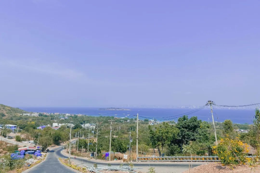 鍘绘嘲鍥芥浖璋峰拰鑺彁闆呯殑鏀荤暐,鍘绘嘲鍥界帺杞浖璋疯姯鎻愰泤