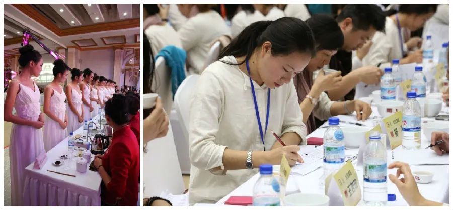 浅谈大益茶文化,大益茶文化讲解