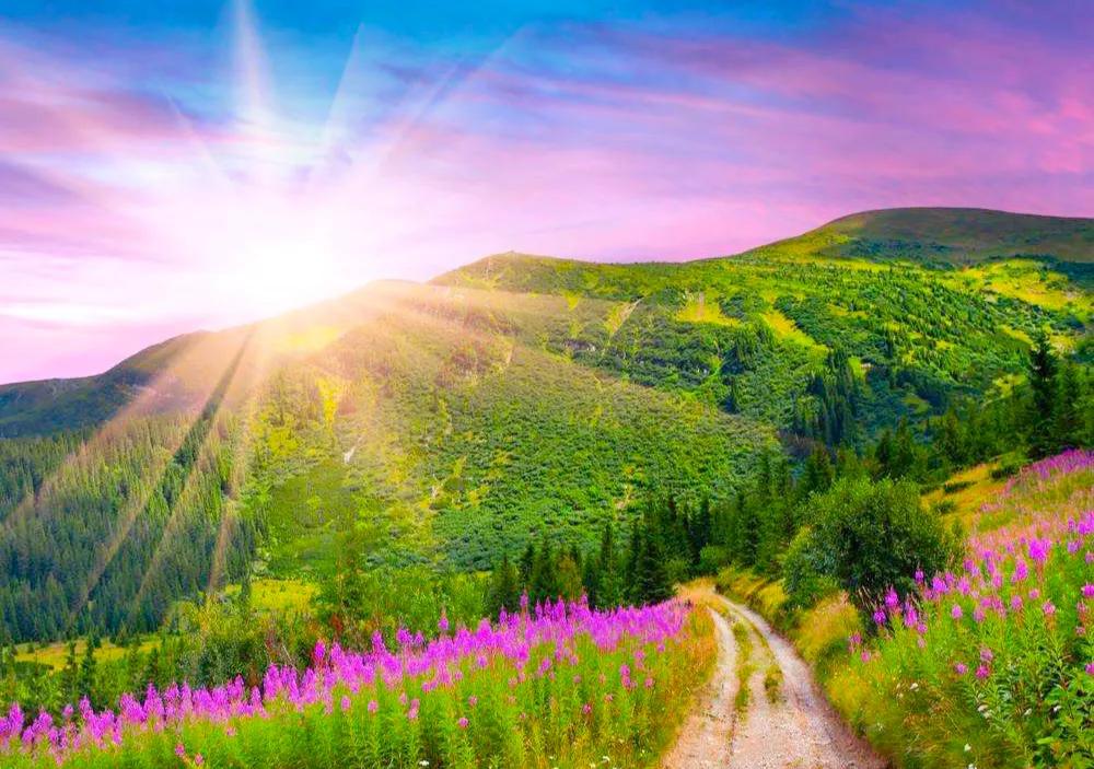 人生难得静心,人生难得清净心