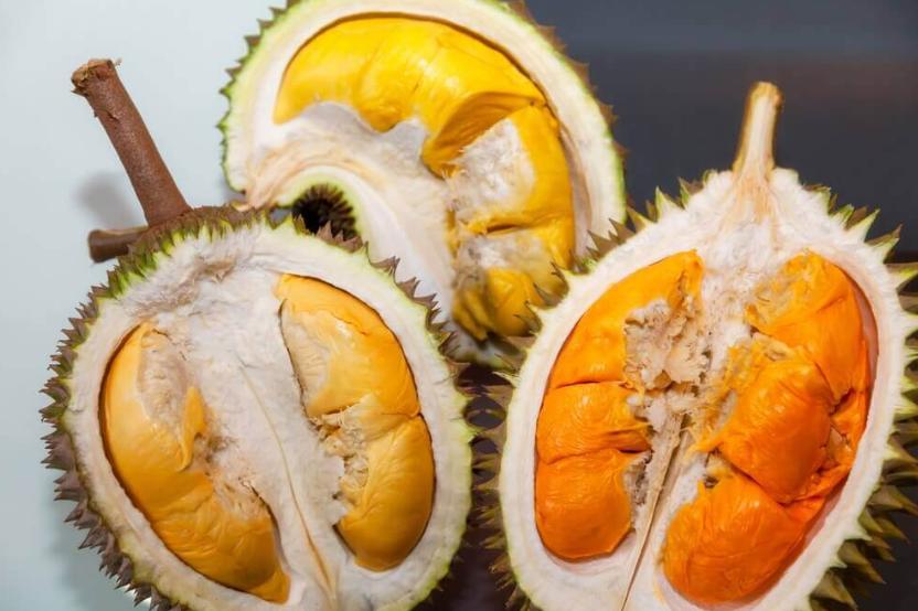 2021马来西亚榴莲,马来西亚榴莲2019.6.5