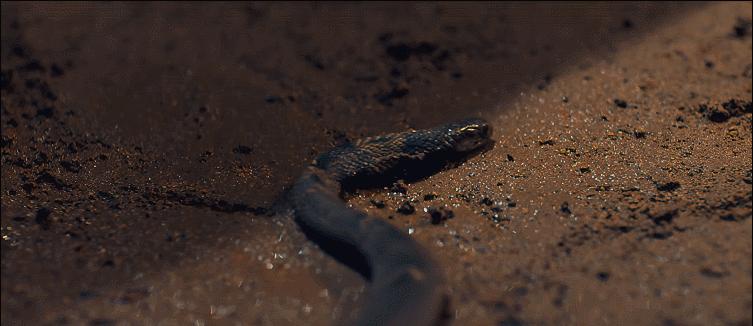 上映7小时，就拿下4个第一，我断言：这部电影，很快会火向全网