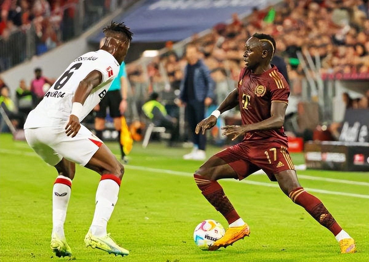 疫情下的卡塔尔世界杯,疫情卡塔尔世界杯