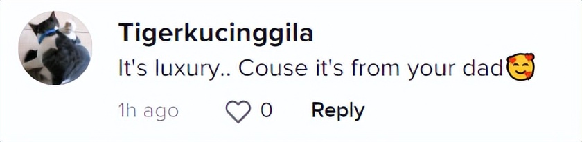 晒爸爸买包被嘲讽,女生晒爸爸送奢侈品包包