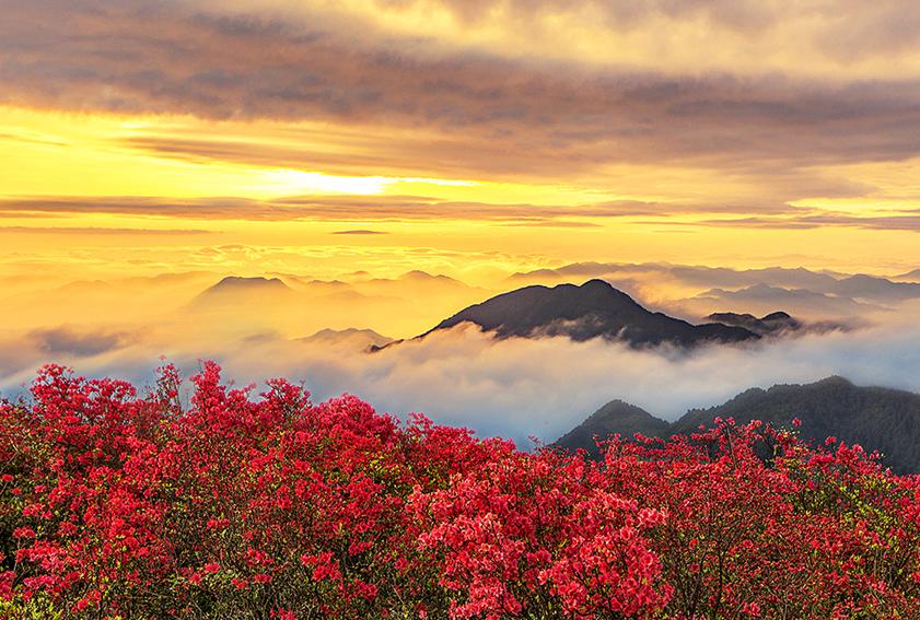 浙江十大徒步古道图片,浙皖十大古道景点介绍图