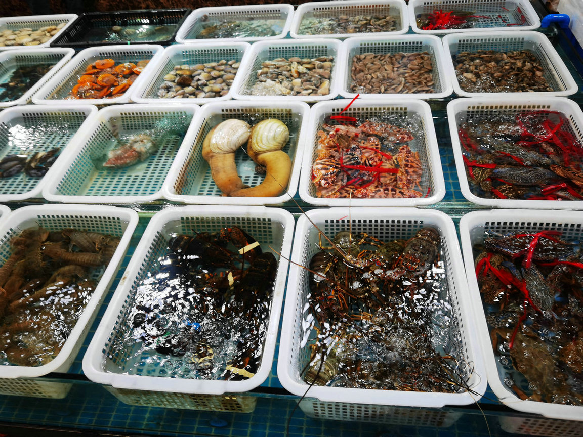 周末惠州双月湾攻略,周末去惠州双月湾塞车吗