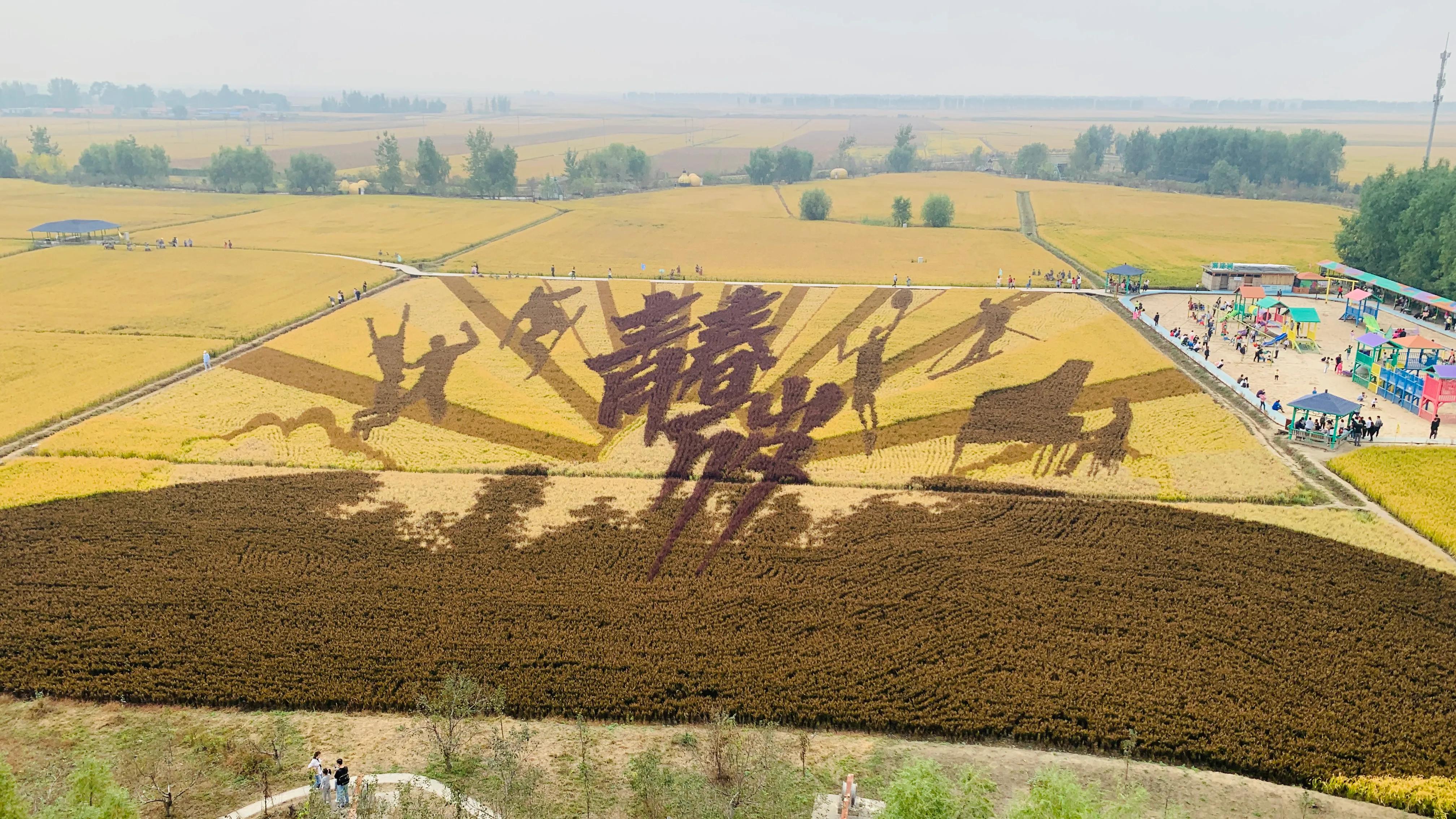 沈阳旅游景点稻梦空间,沈阳稻梦空间一日游攻略