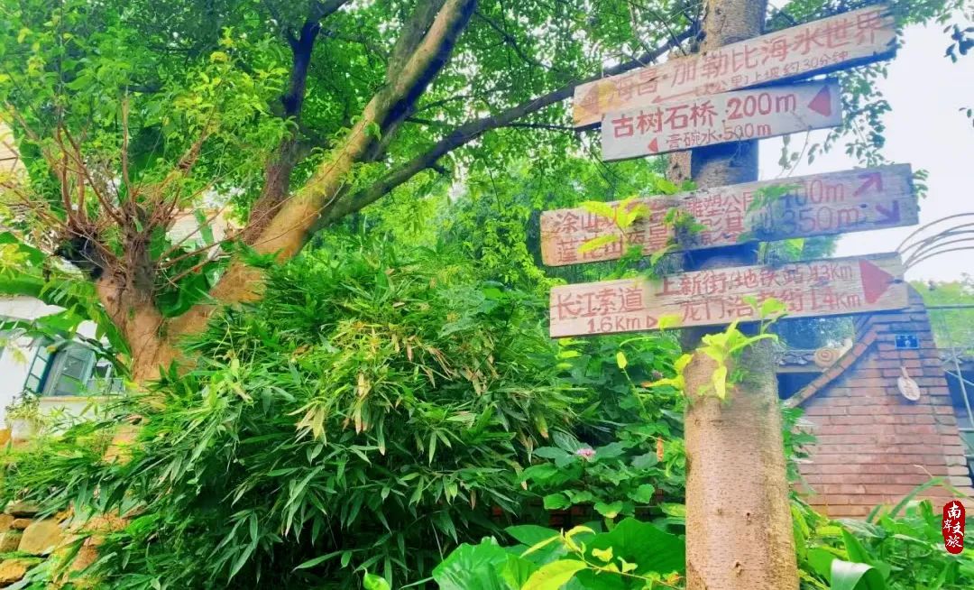 1500米以上南川避暑地推荐,南岸周末避暑景点有哪些