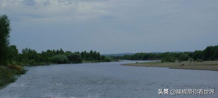 美在黑龙江：走进诗意山水之齐齐哈尔这里是世界大湿地中国鹤家乡