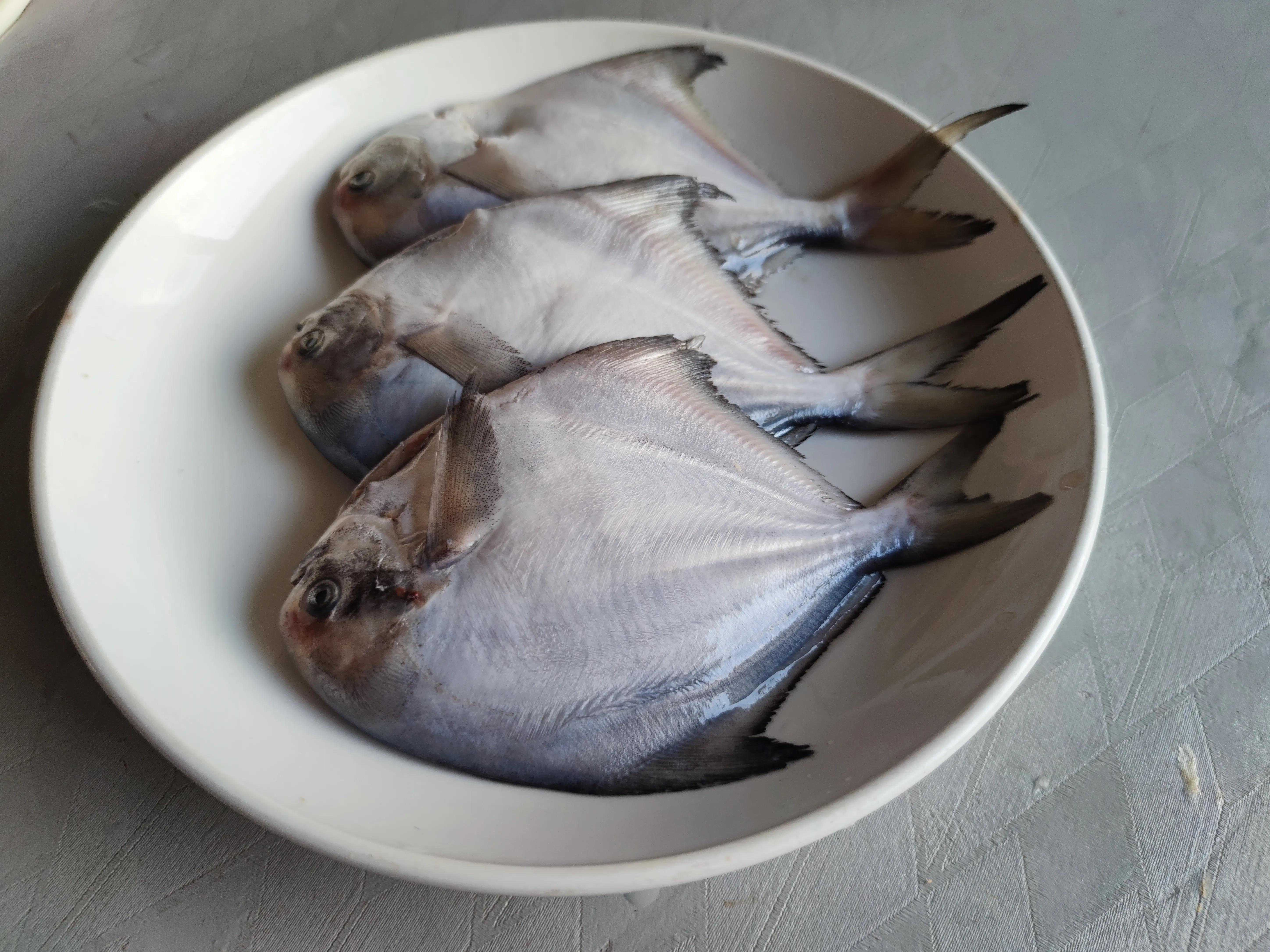 五一前什么海鱼最肥美?这8种都是正宗无养殖的，再不吃可要封海了