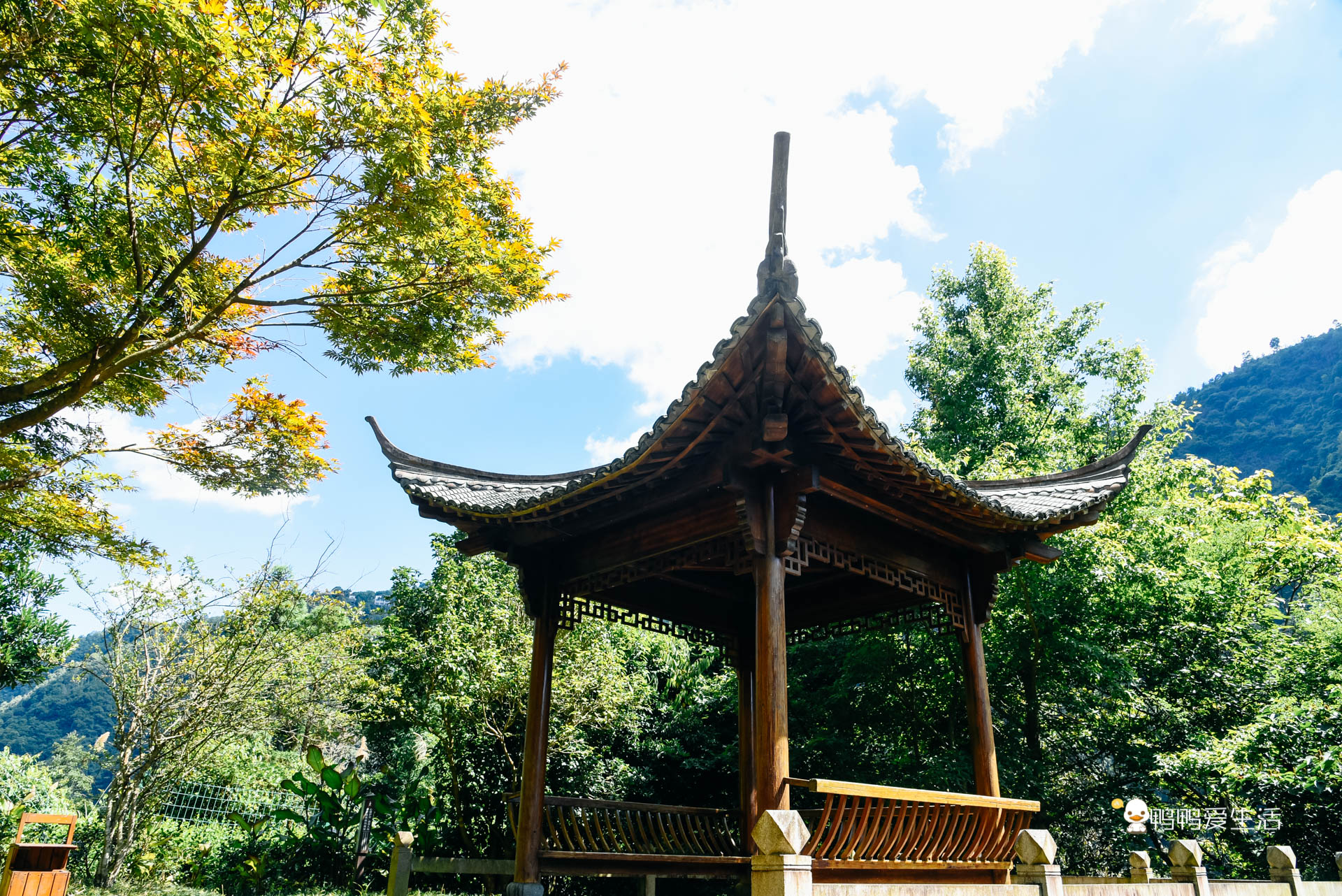 泰顺三大温泉哪个最好,浙江泰顺天然温泉度假村排名榜