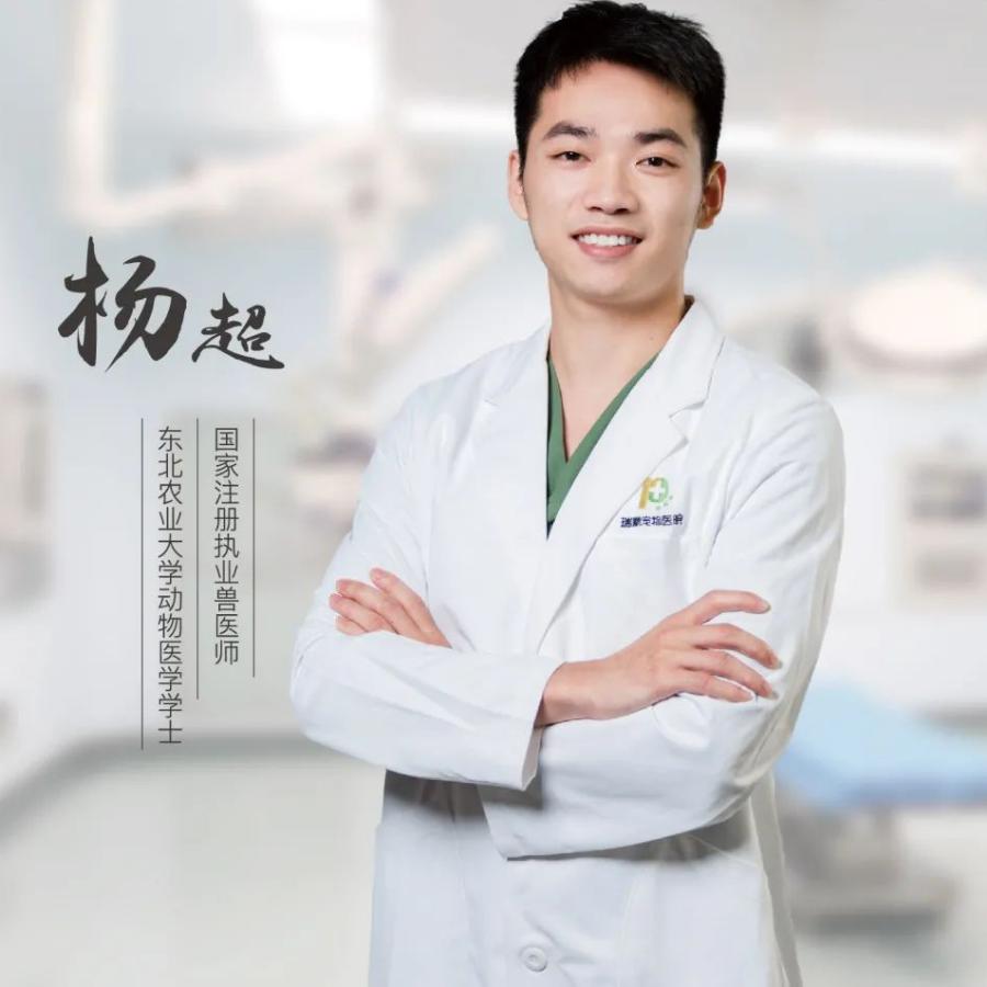 狗狗颈椎椎间盘突出导致前肢瘫痪,狗狗颈椎骨质增生压迫神经怎么办