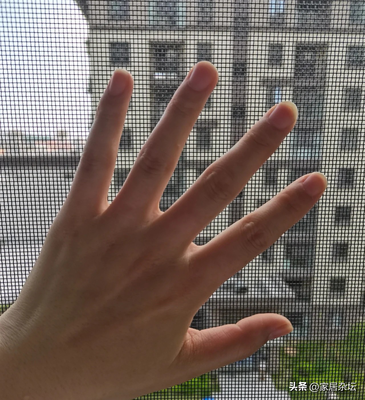 为什么不建议用金刚网纱窗,金刚网纱窗什么时候流行的