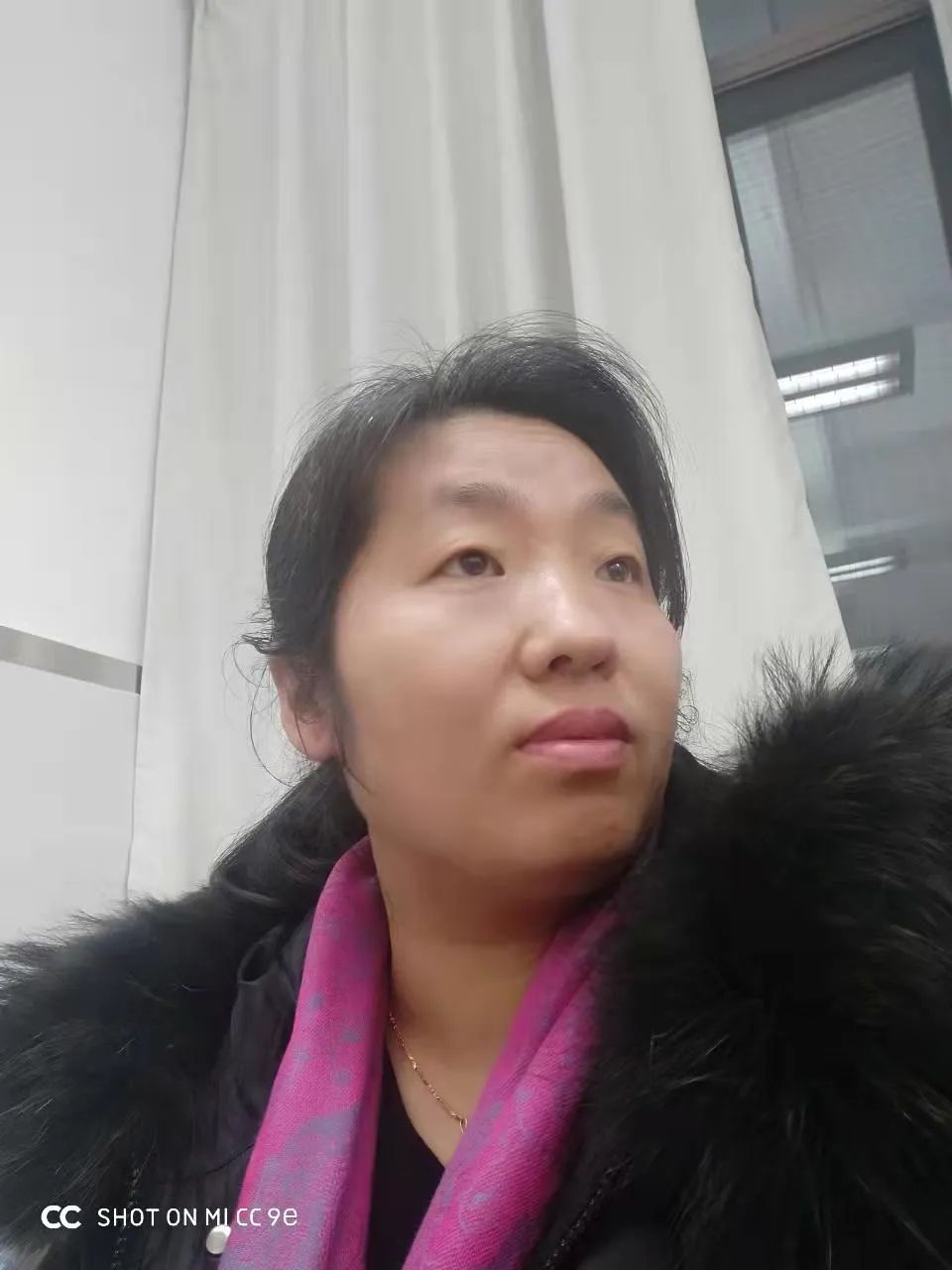 雨中妩媚的丁香花词句,雨中的丁香花写一段话