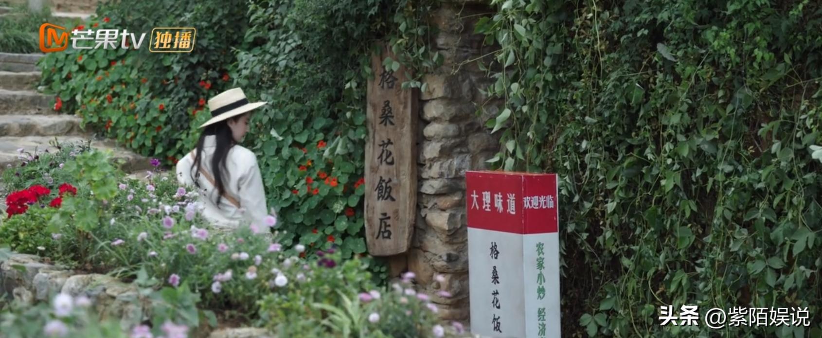 刘亦菲去有风的地方演技吐槽,去有风的地方刘亦菲和其他人同框