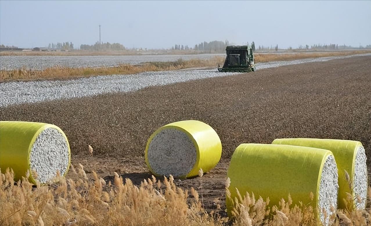试述中亚种植棉花的有利条件 (19世纪初期哪个国家对棉花有需求)
