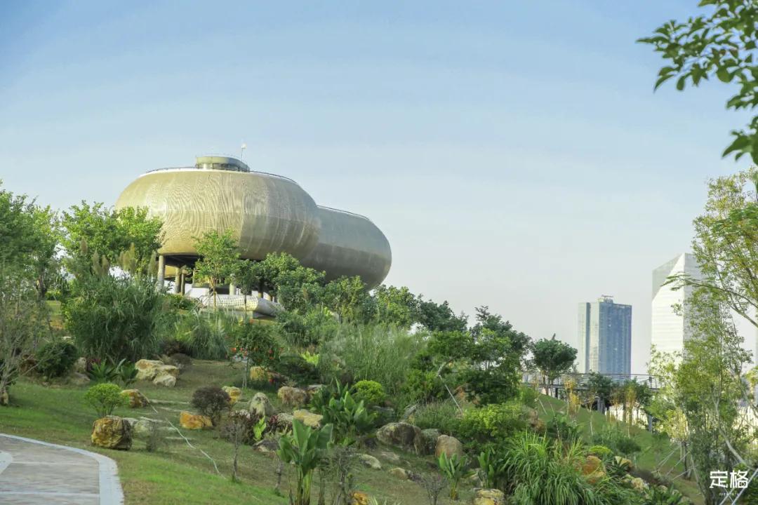 雨林打卡网红地滑梯,深圳哪里有超大型滑梯