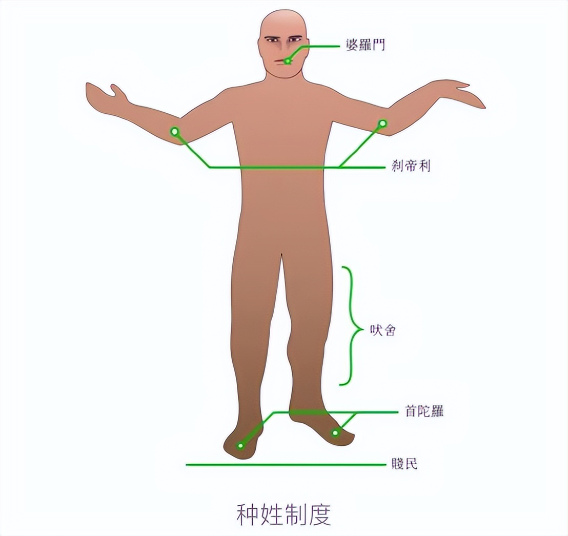 《没有女人的国家》：父子6人共娶1妻，扯下了印度男权的遮羞布