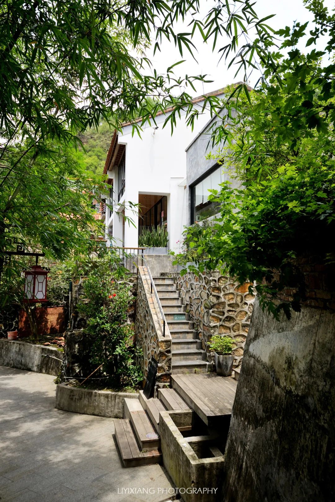 清远鸡什么地方最好,清远鸡冷知识