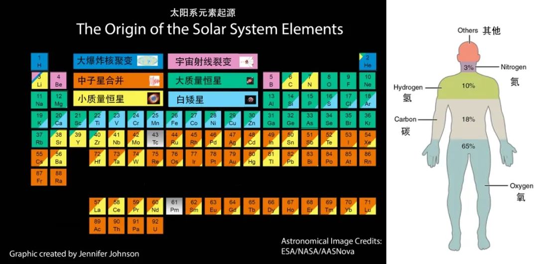 生命之基的炼成，究竟需要多少岁月？