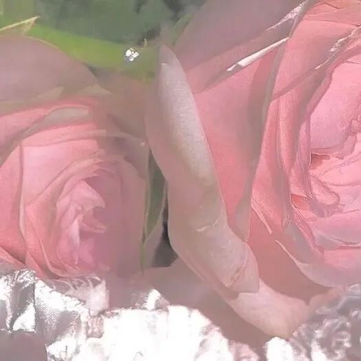 2022提升运气的微信头像意境,田姓氏微信头像图片大全2022