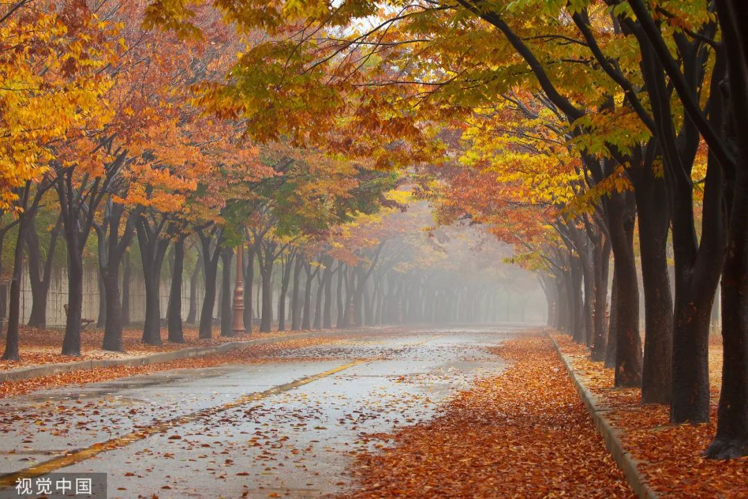 写秋雨的唯美句子短诗句,描写秋雨的优美诗句大全