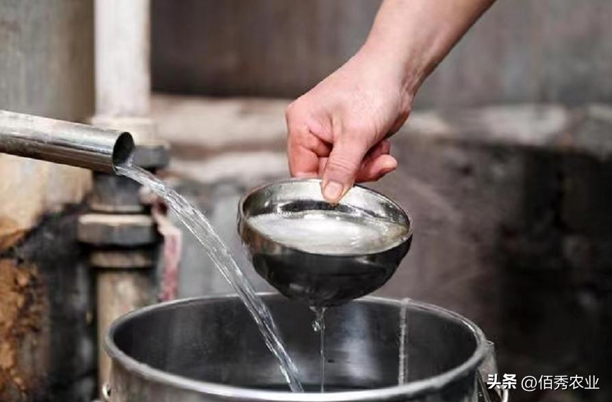 52度白酒存放十年过期吗,42度白酒时间长了会过期吗