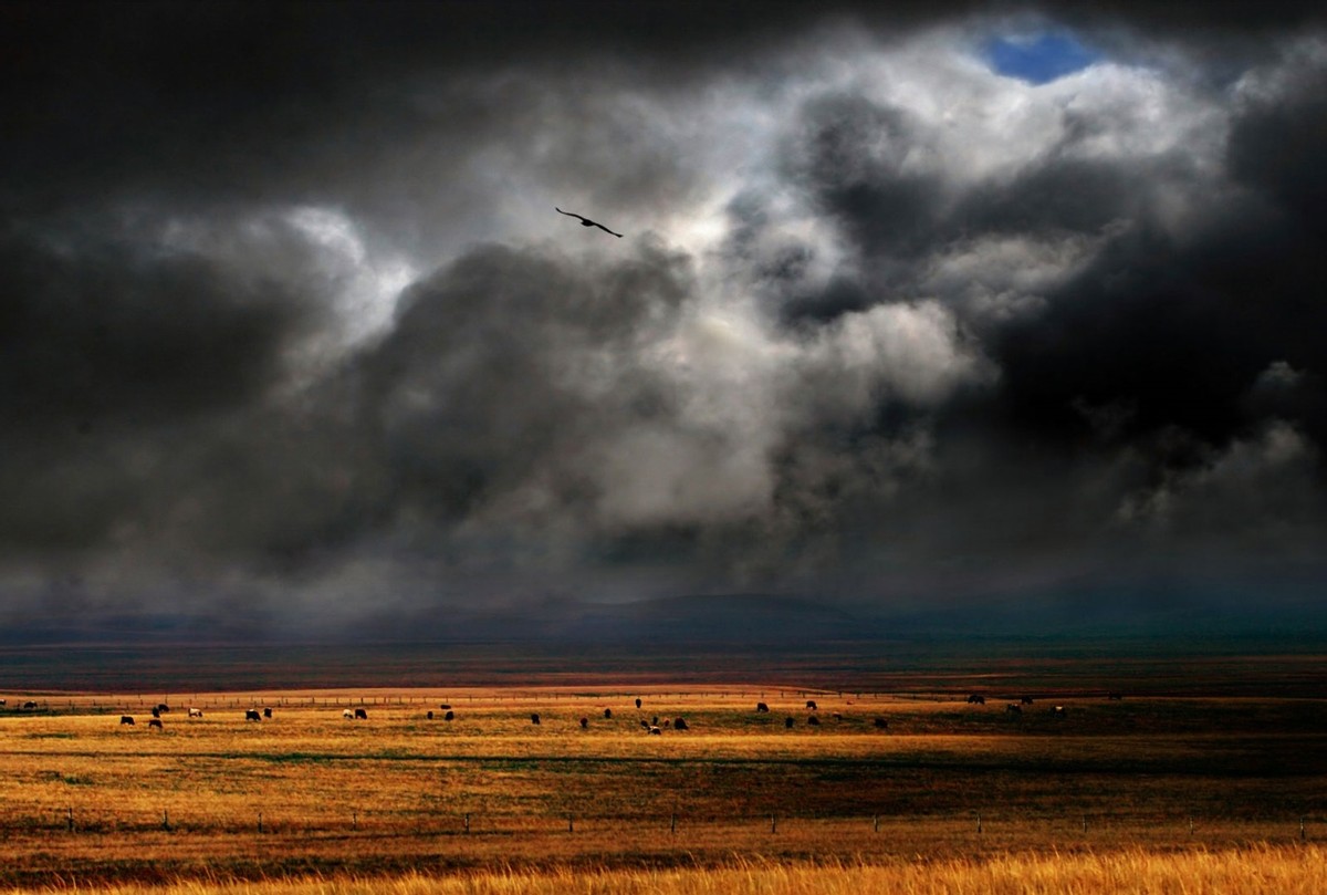 再等10日，四大星座善于抽象思维，不怕挫折，热情活泼，转好运