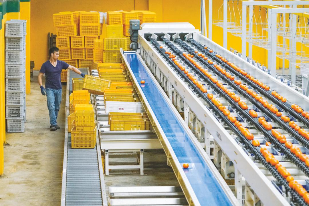 #南宁这十年#踔厉奋发新时代潮起云飞满目新——*党**的*八大十**以来南宁市高质量发展综述