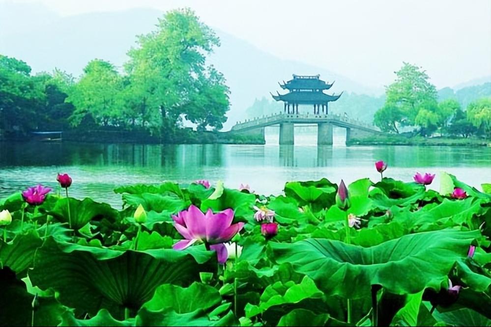 杭州夏季小众旅游攻略图,杭州夏天最适合去哪儿玩