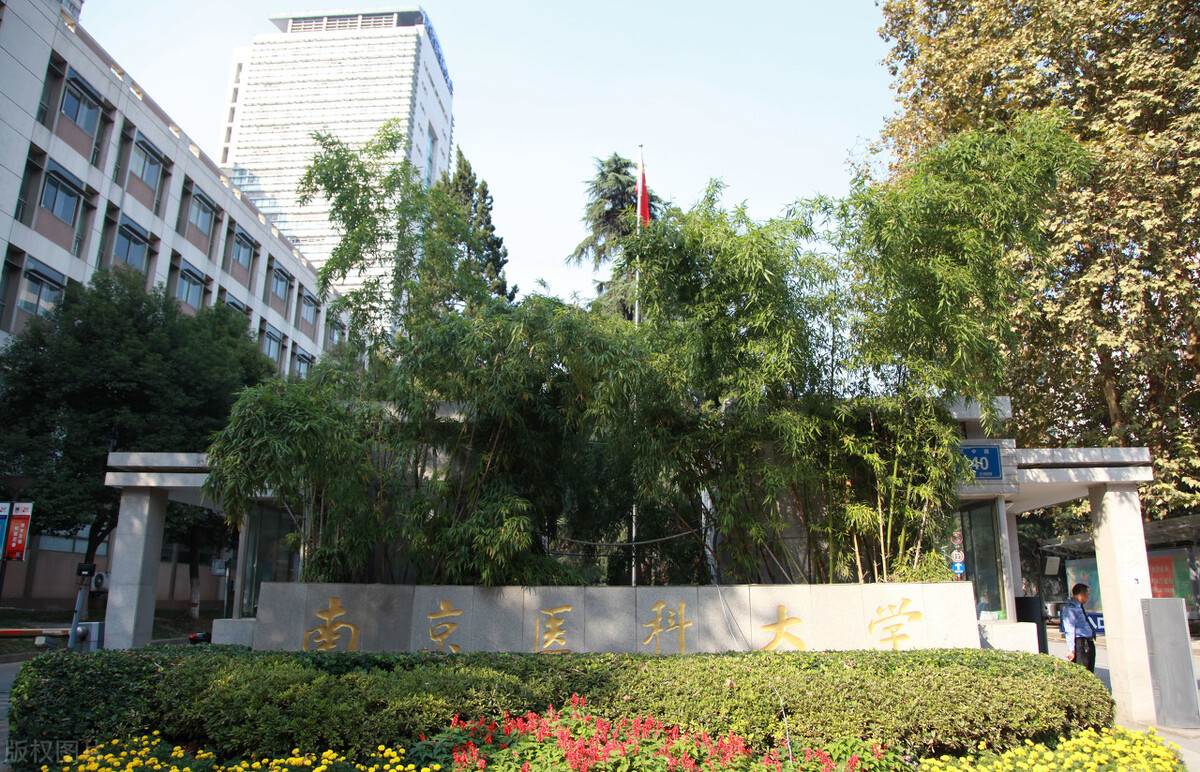 南医双一流,三所双非院校进入双一流