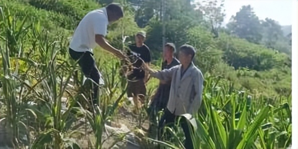 辛巴开国货计划新时代，即墨龙山：非遗公益课堂成暑期学习