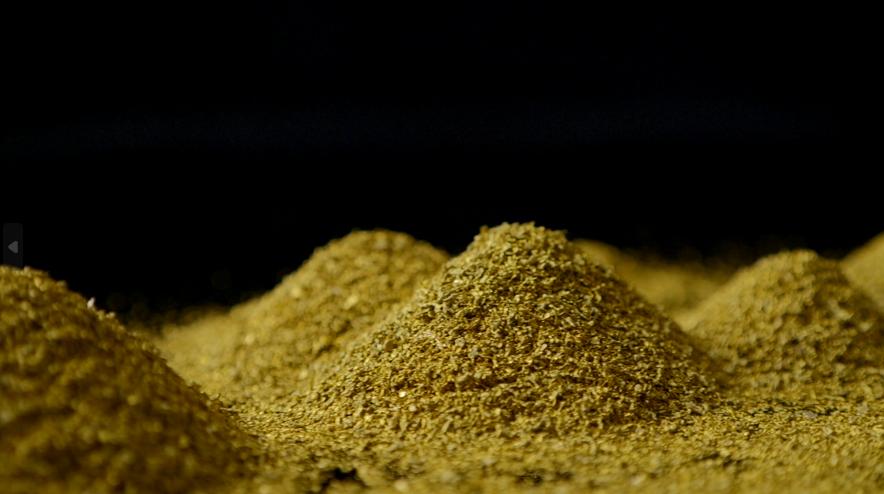 中央净水机和大蓝瓶如何选择,家用中央净水机怎么选