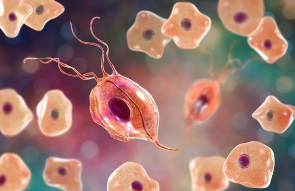 内裤上有分泌物什么原因,为什么内裤总是有分泌物