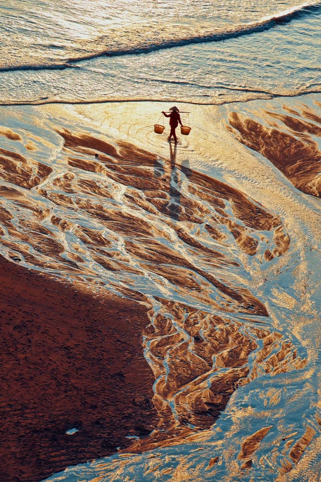 鲜味到底是什么味,鲜味指什么味道