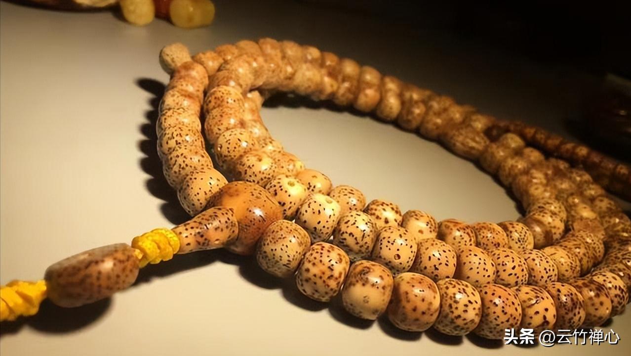 怎样辨别星月菩提真假,星月菩提如何辨别真假